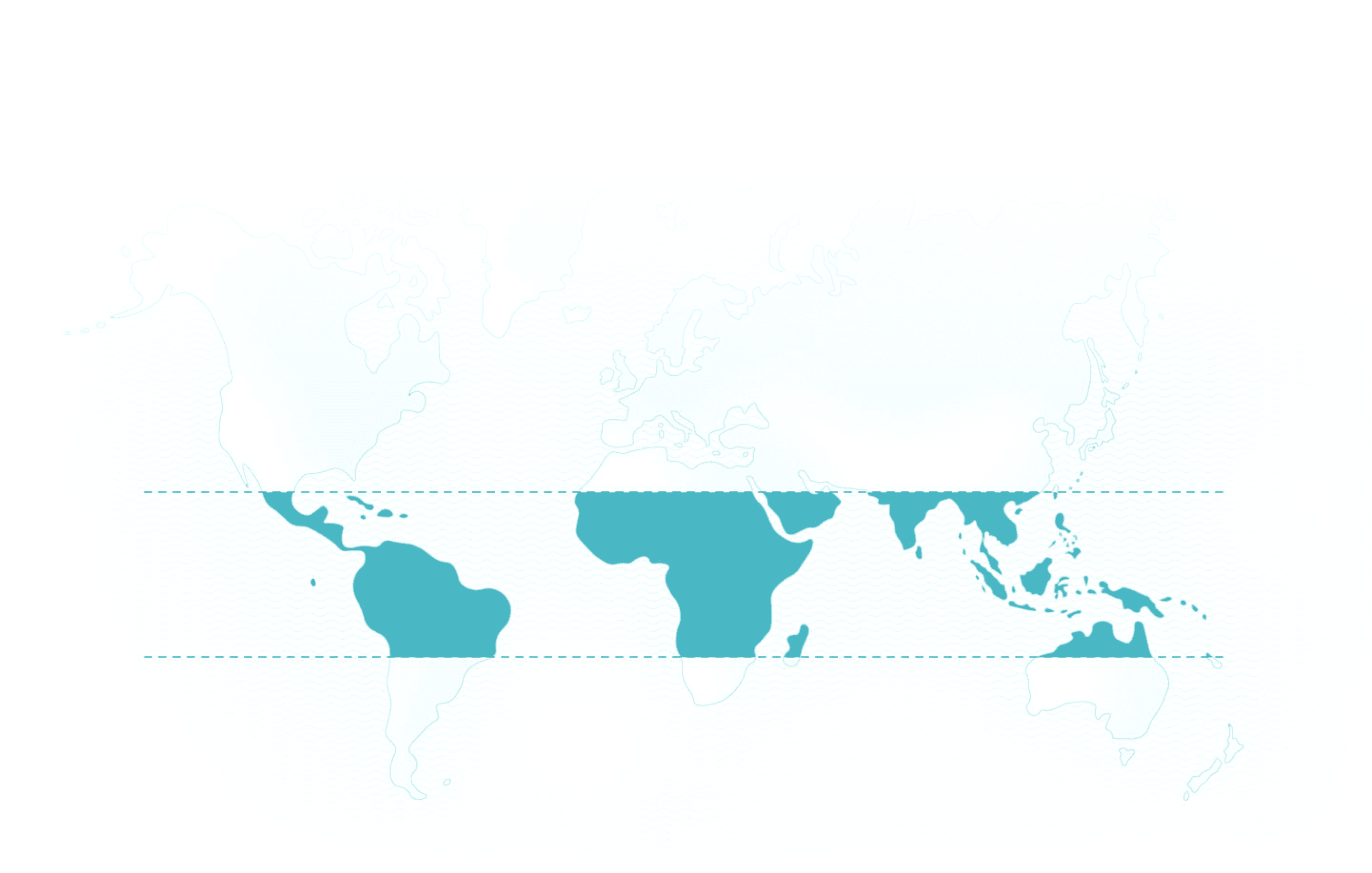 World map
