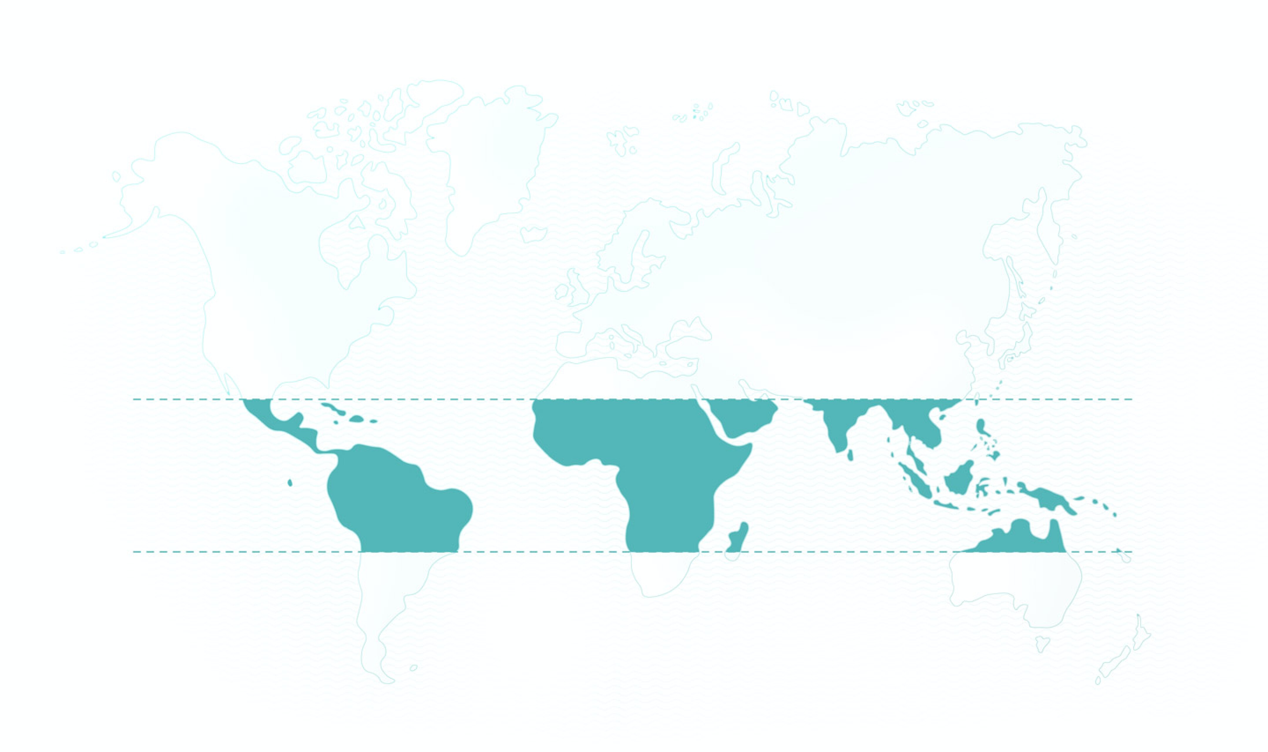 World map