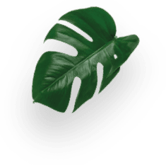 ESPRESSO decoration Image